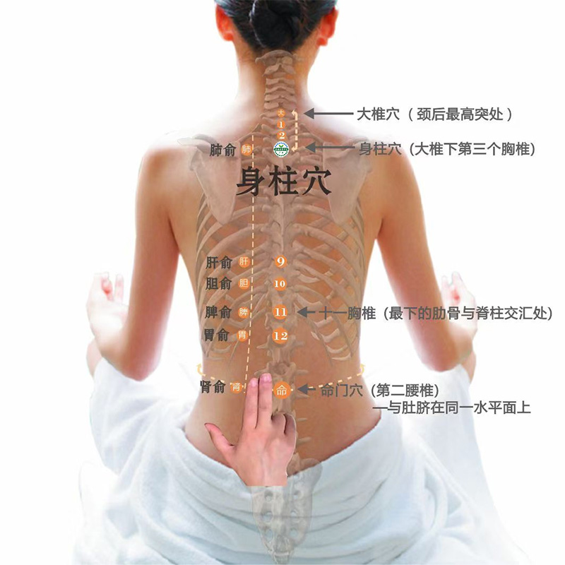 身柱穴