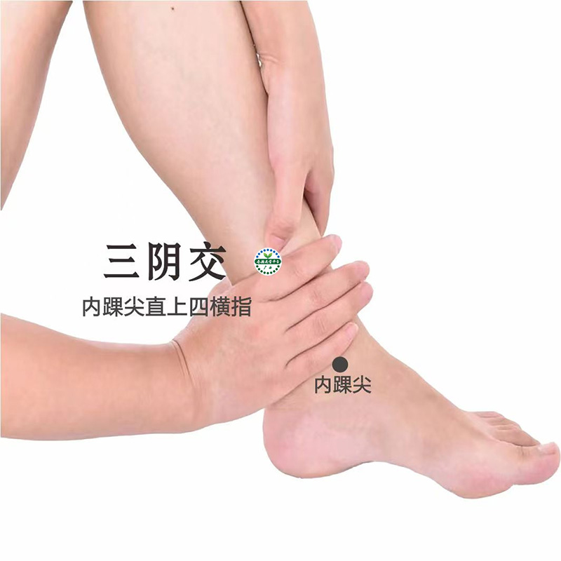双三阴交